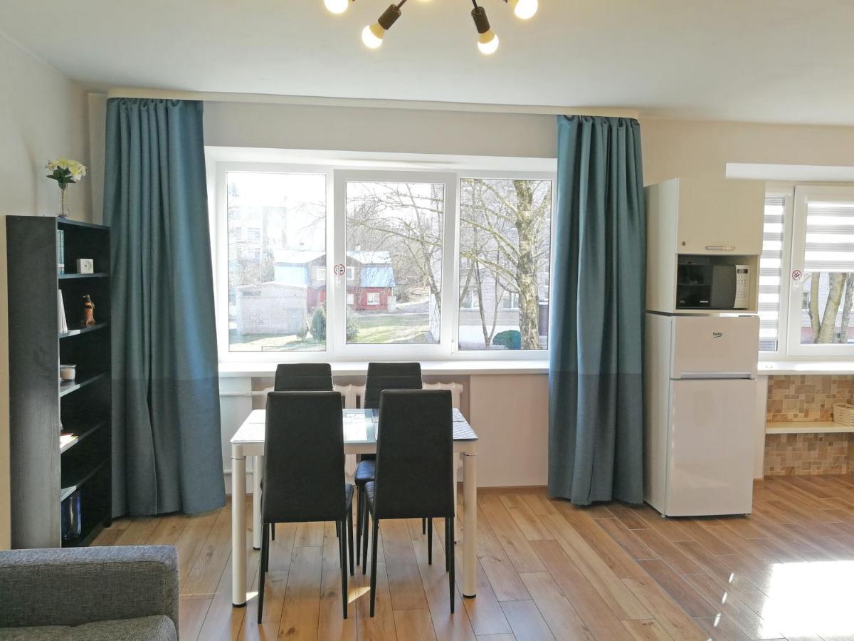 Siauliai Central Apartment @ Traku Street 外观 照片